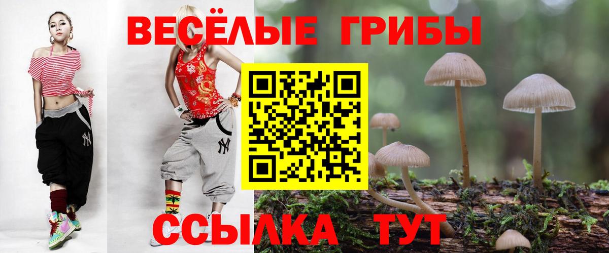 Галлюциногенные грибы Cubensis  Вход с VPN  Майский  Псилоцибиновые грибы прущие грибы 