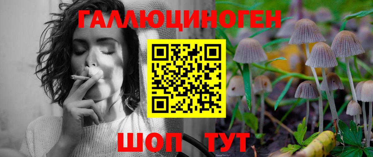 Галлюциногенные грибы GOLDEN TEACHER Майский